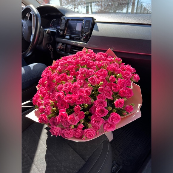 Meet your Posher, Lucy - Picture 3 of 3